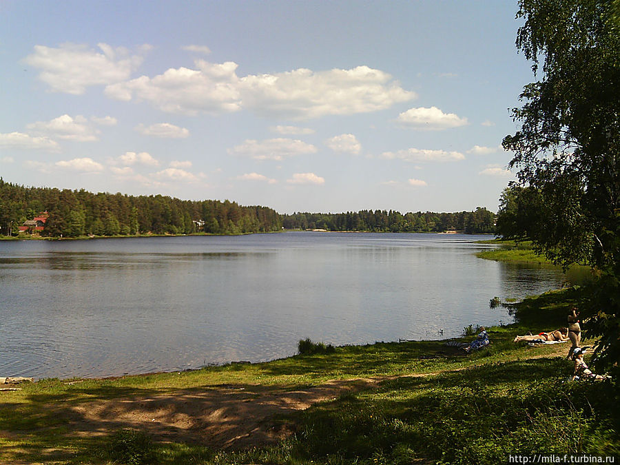 Прогулка в лето. Пригороды Петербурга. Рощино Рощино, Россия