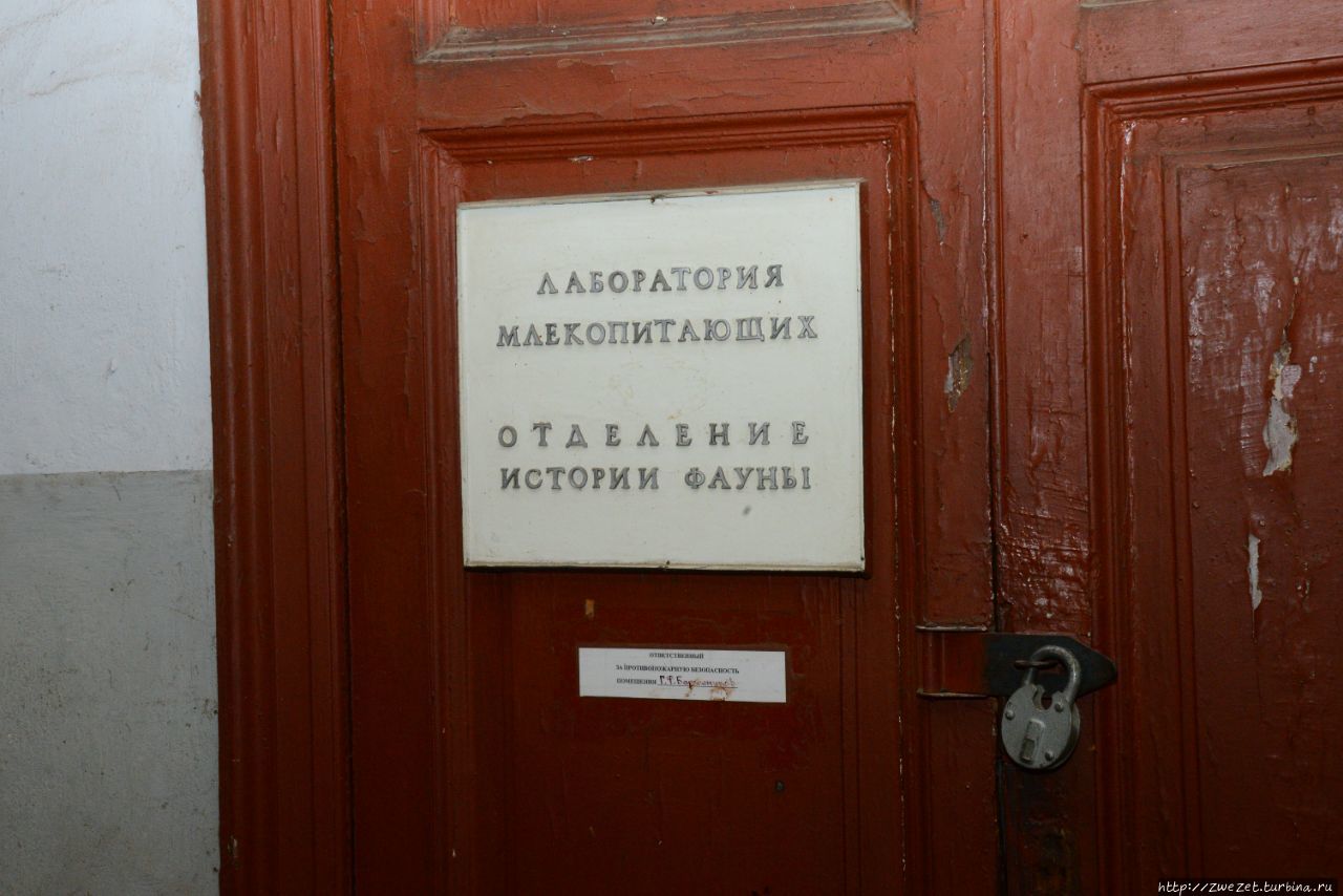 Всемирно известный институт изнутри Санкт-Петербург, Россия