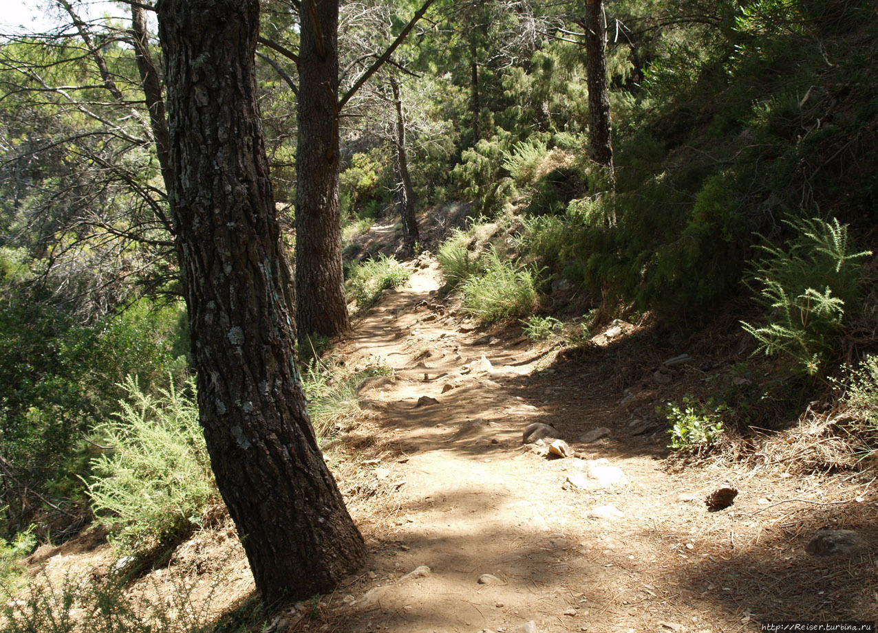 Поездка...в Европу... — 6. Восхождение на гору Ла Конча Марбелья, Испания