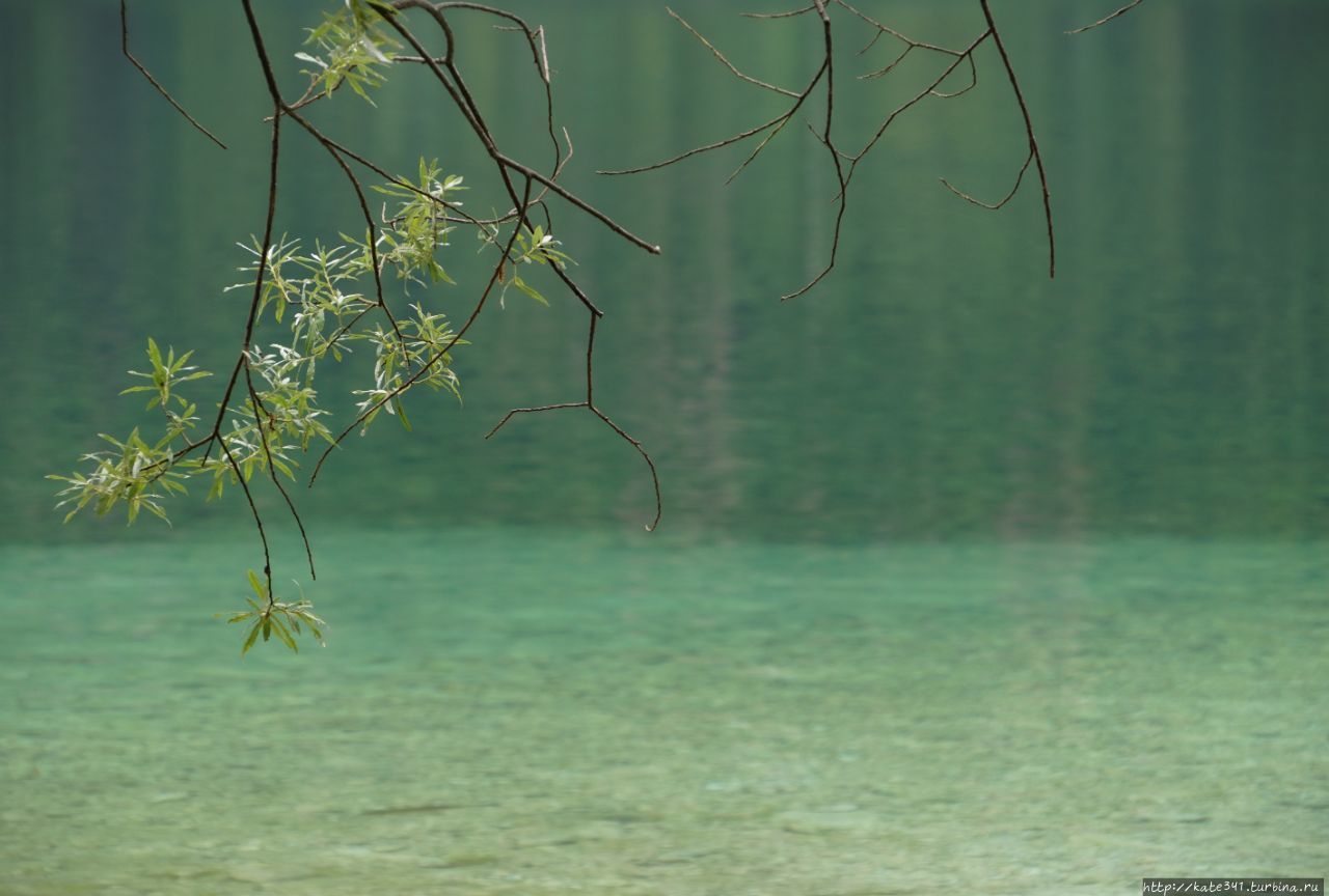 Озеро Бохинь и его окрестности Бохиньска Бистрица, Словения