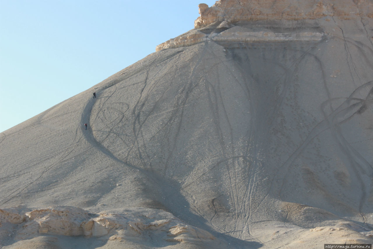 Если присмотреться, на тр