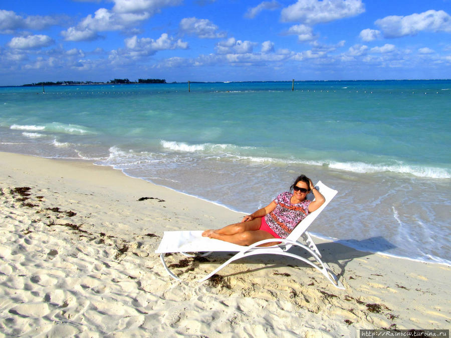 Год исполненных желаний