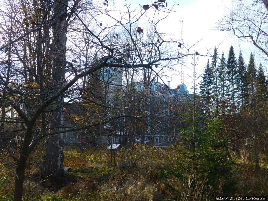 Я этим городом храним. Приморская окраина Санкт-Петербург, Россия