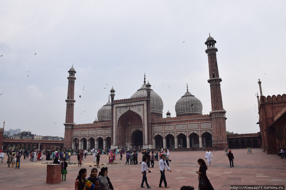 Мечеть Джама-Масджид / Mosque Jama Masjid