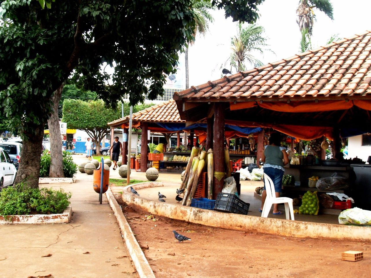Индейский рынок Кампу-Гранди, Бразилия
