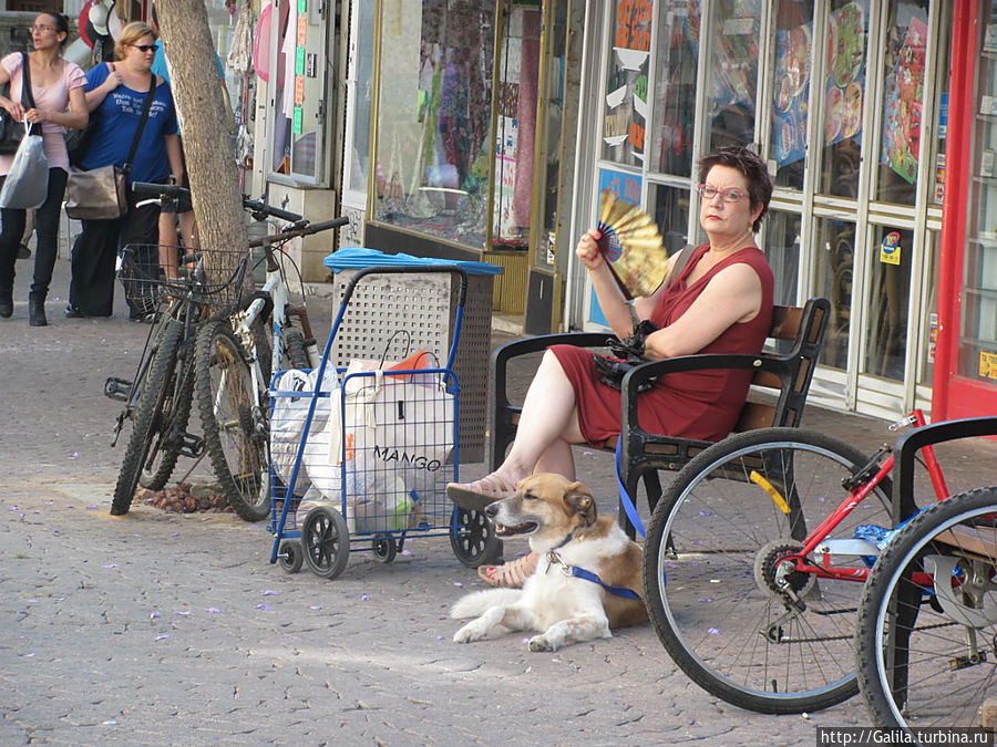 Серьёзная дама с собачкой. Тель-Авив, Израиль