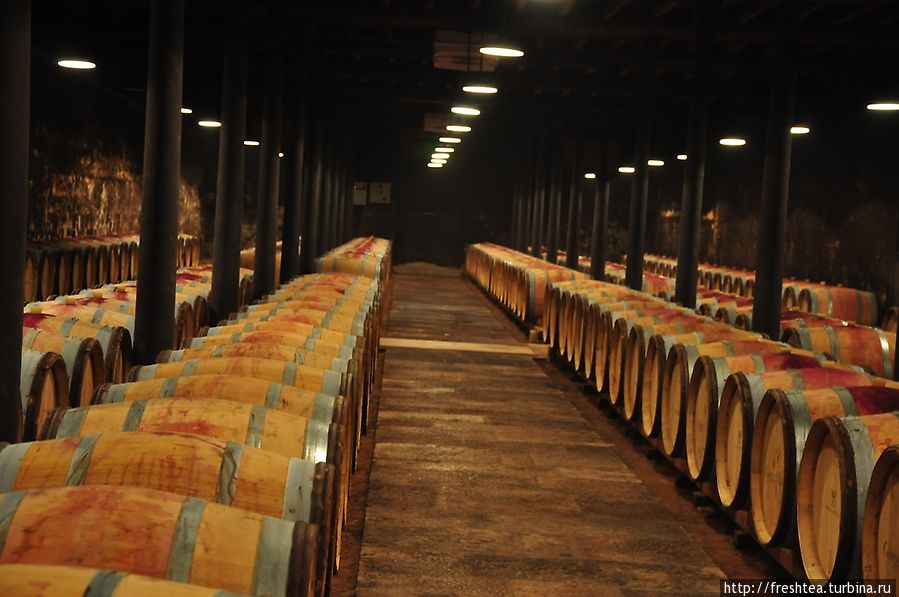 Божоле: в подвалах винодельческого хозяйства :Жорж Дюбеф (Georges Duboef) Рона-Альпы, Франция