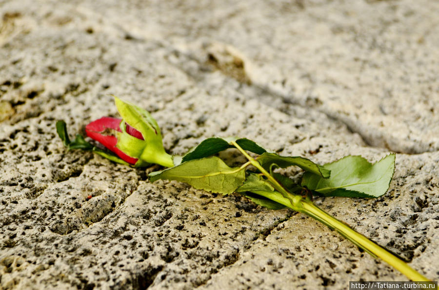 Понты Тибра Рим, Италия