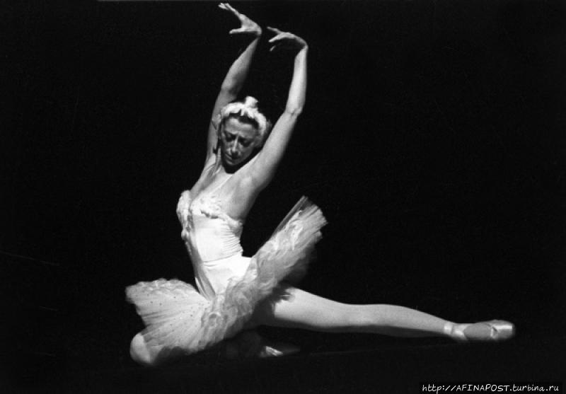 Майя Москва, Россия