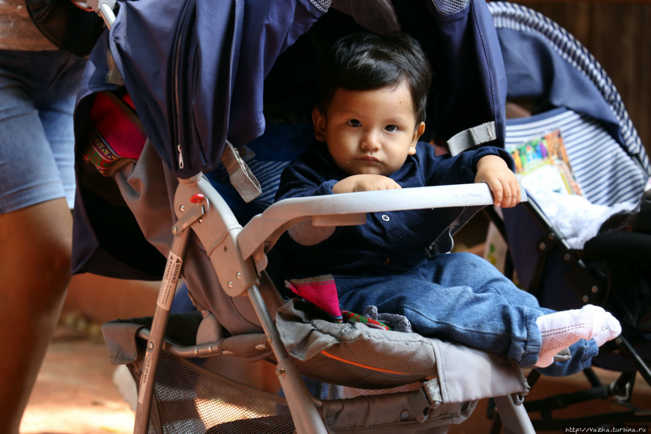 Зоопарк Лимы Лима, Перу