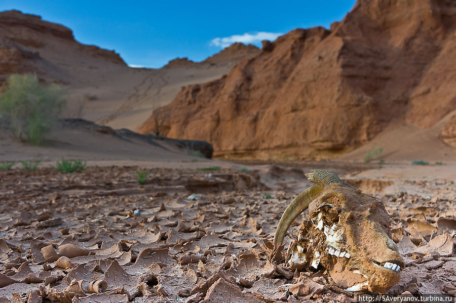 Урочище Хэрмэн Цав Южно-Гобийский аймак, Монголия
