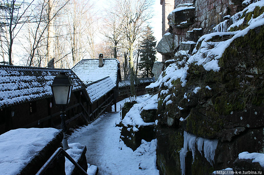 Задний двор