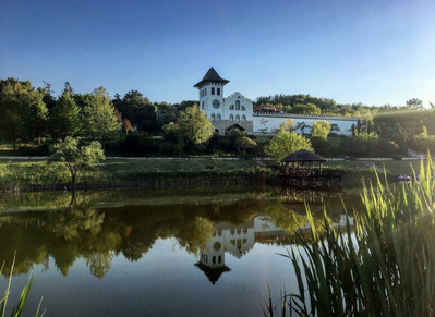 Шато Пукарь. 

Новодел на месте самой старой из действующих виноделен Молдовы. Призван подчеркнуть схожесть регионов Пуркарь и Бордо.