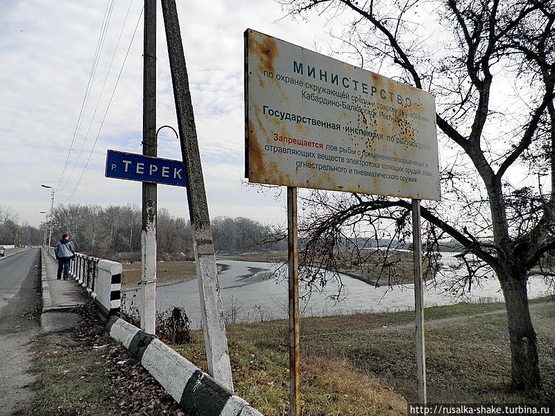 Осенний Терек Майский, Россия