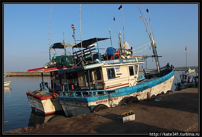Внеплановое посещение родины чая и улыбок. Хиккадува-поселок Хиккадува, Шри-Ланка