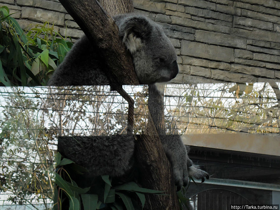 Чиангмай Чиангмай, Таиланд