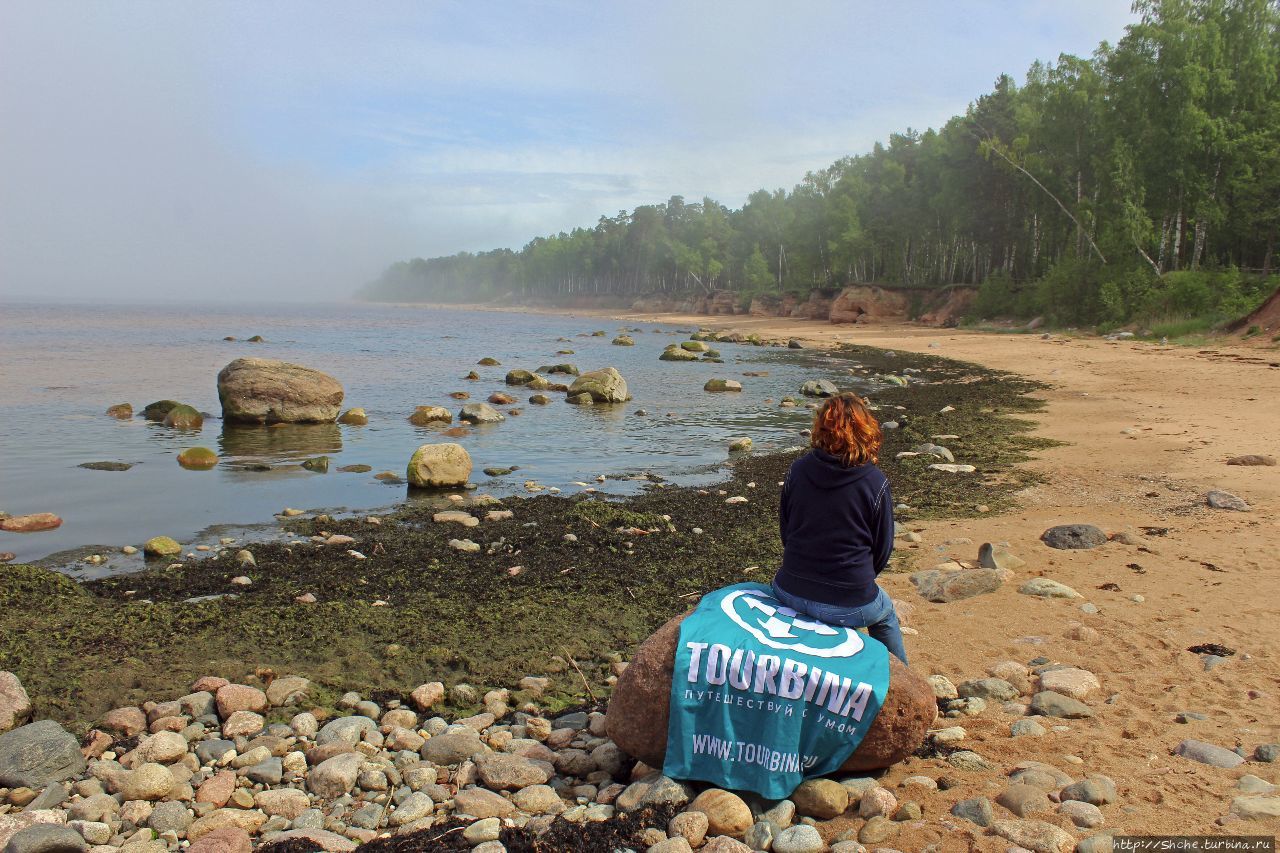 Скалистый берег Видземе / Vidzemes stony beach