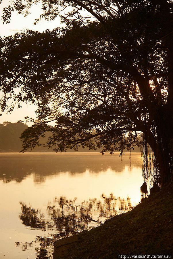 Пруд вокруг Анкор Вата