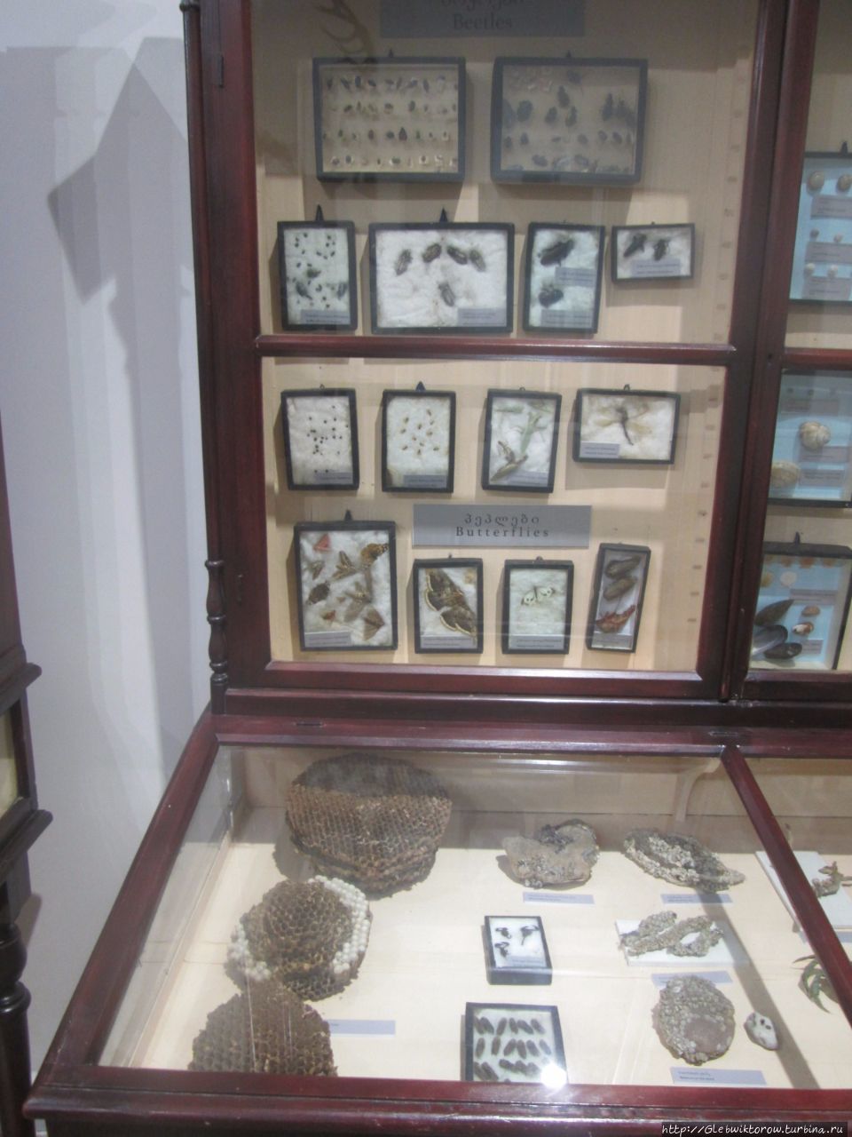 Батумский краеведческий музей Батуми, Грузия