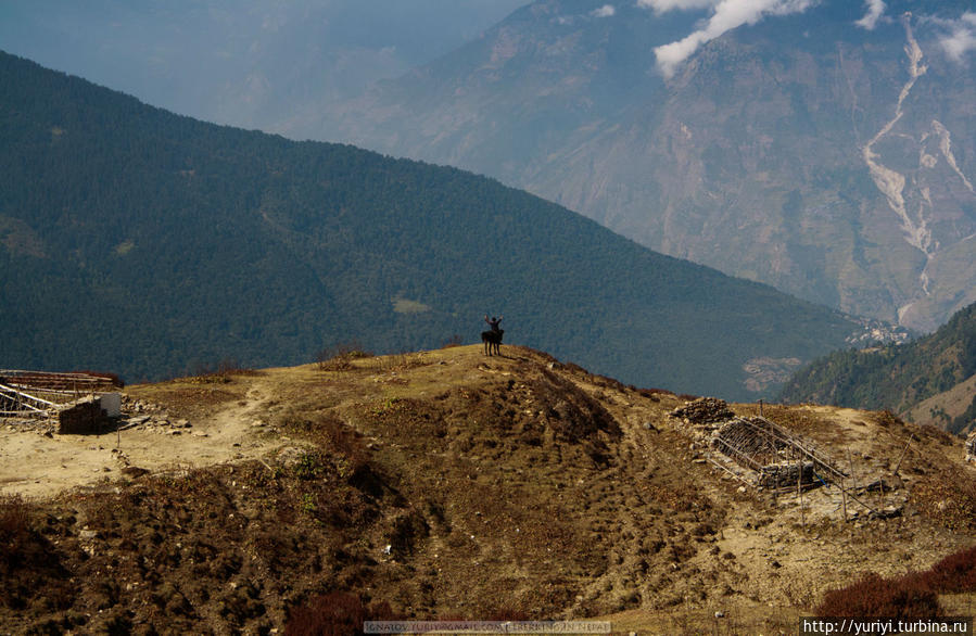 Другой мир. Часть 4. Игра с красками Госайкунд, Непал