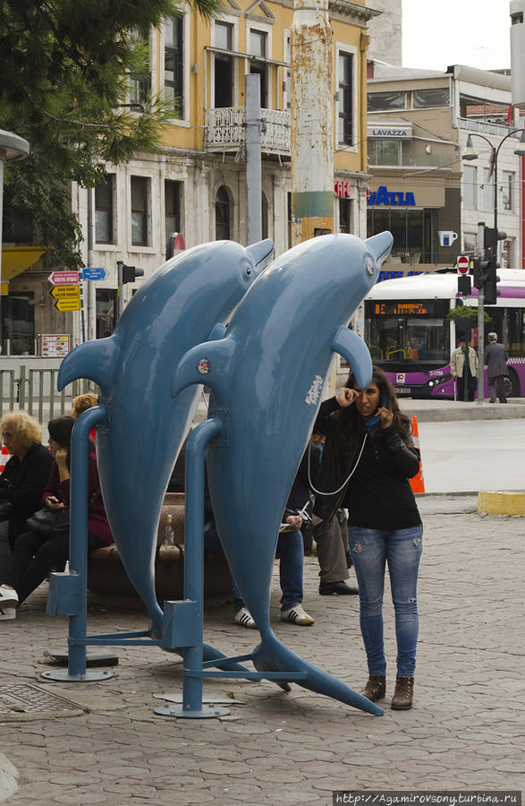 Можно поговорить с дельфинами. Стамбул, Турция