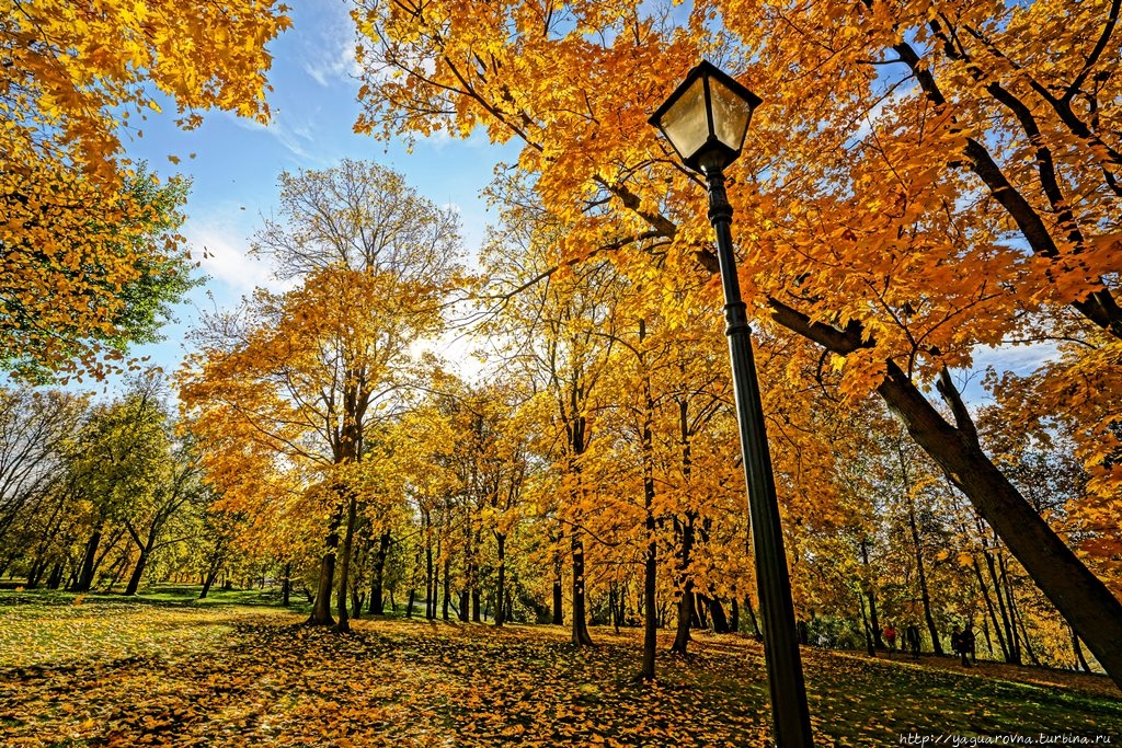 Несколько часов в парке Царицыно. Москва (город - регион), Россия