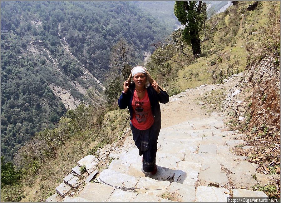 Местная жительница — ей приходится самой тащить свою поклажу на себе Чомронг, Непал