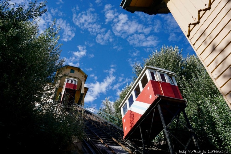 Из интернета