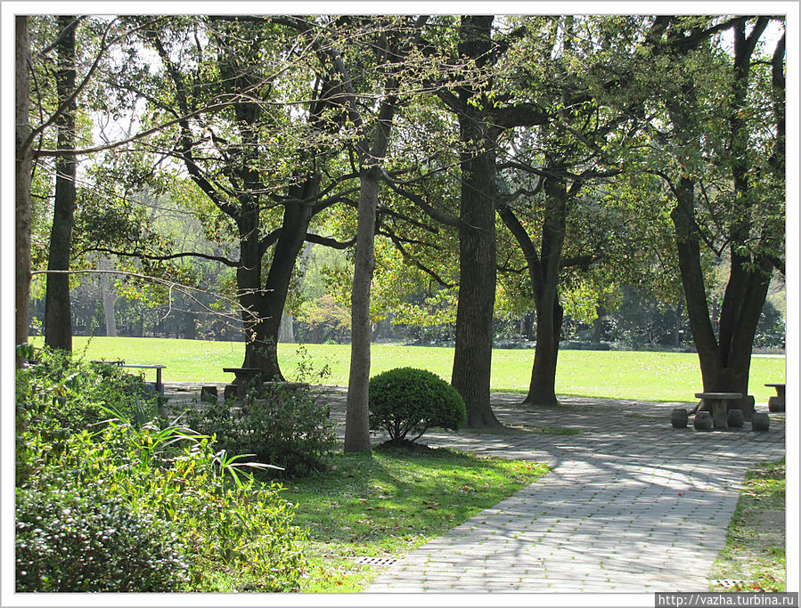 Зоопарк Шанхая Шанхай, Китай