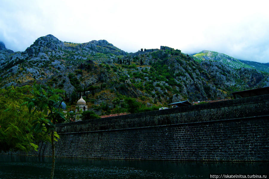Котор. Вид на крепость Бухта Котор, Черногория
