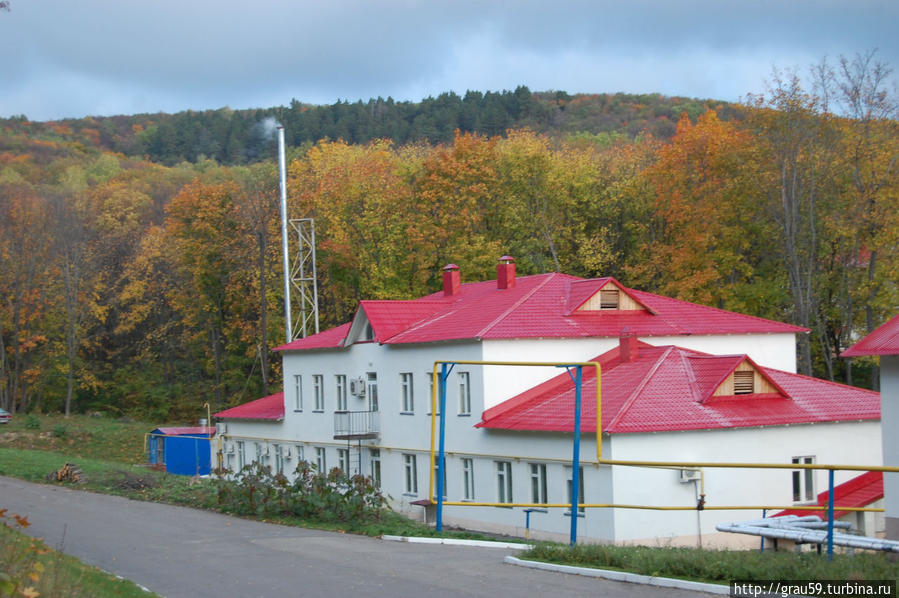 Цель поездки — родник 