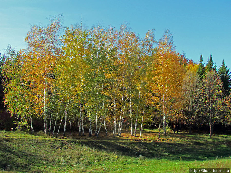 Типично русский пейзаж Докучаевское, Украина