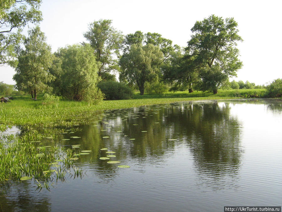 Озеро Солонецкое и живописные луга Черниговщины Остер, Украина