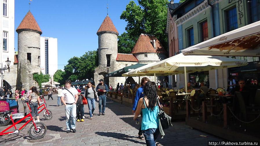 Вирусские ворота