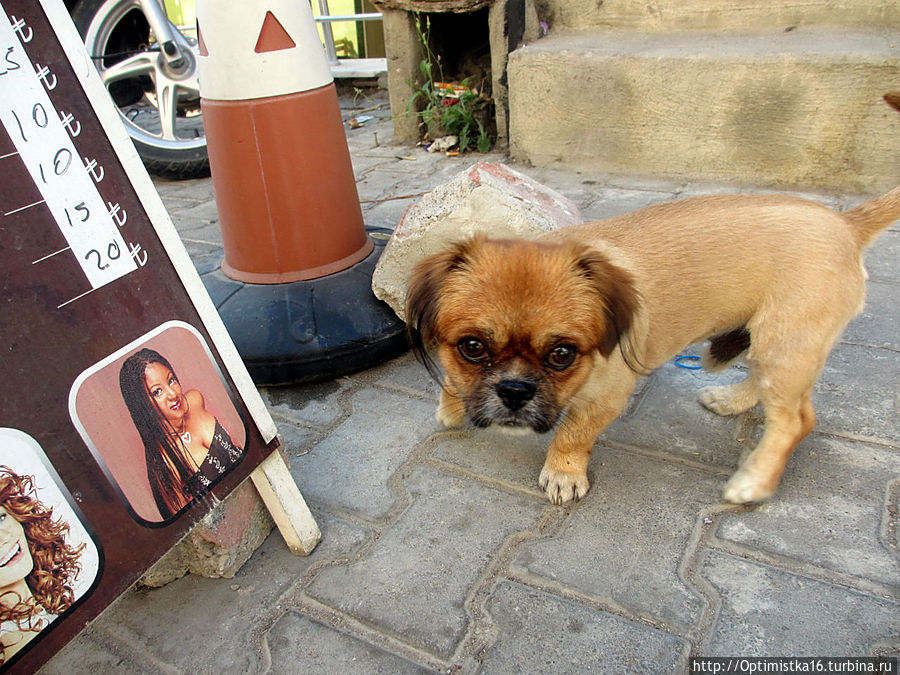 Дидим в конце октября Дидим, Турция