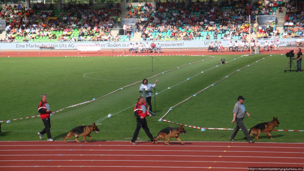 Зигер в Ульме Ульм, Германия
