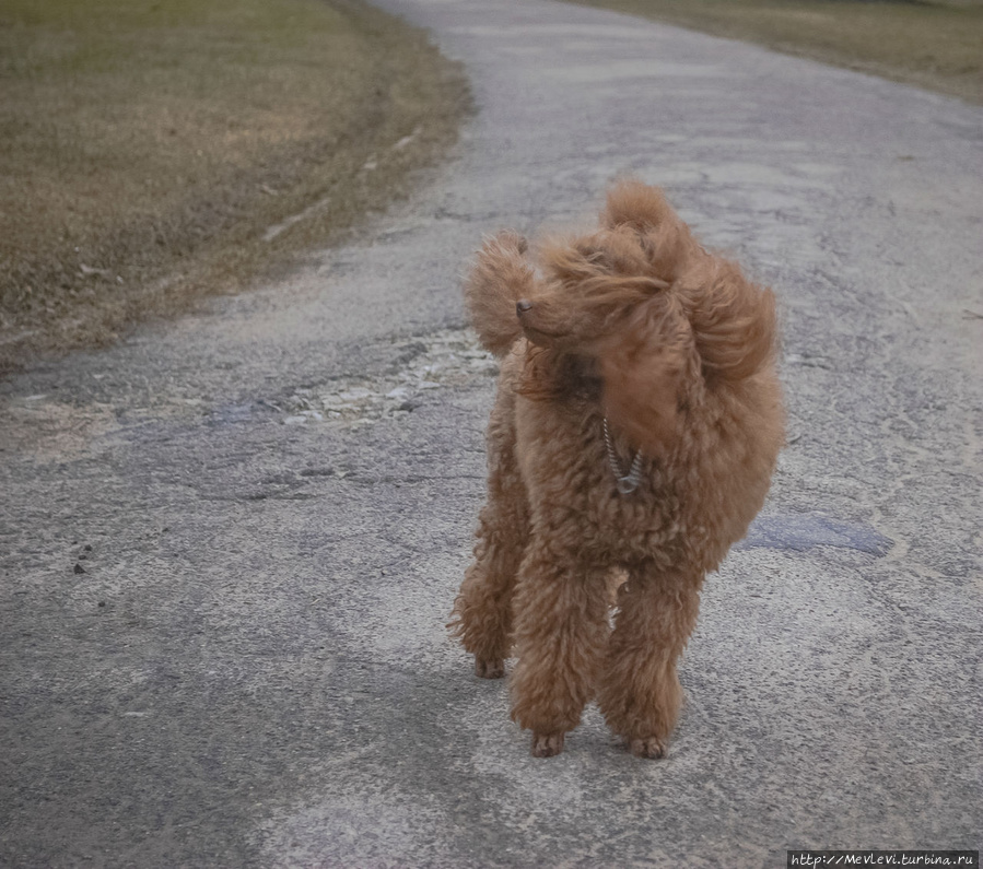В марте в парке Аркадия Рига, Латвия