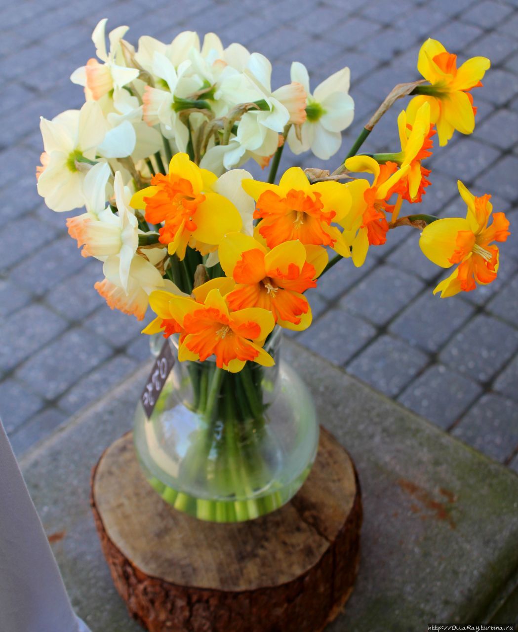 В Юрмале в начале мая повсюду продают нарциссы. В Юрмале в начале мая повсюду продают нарциссы.