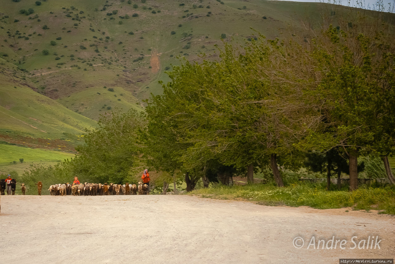 Под древним солнцем Ирана Керманшах, Иран