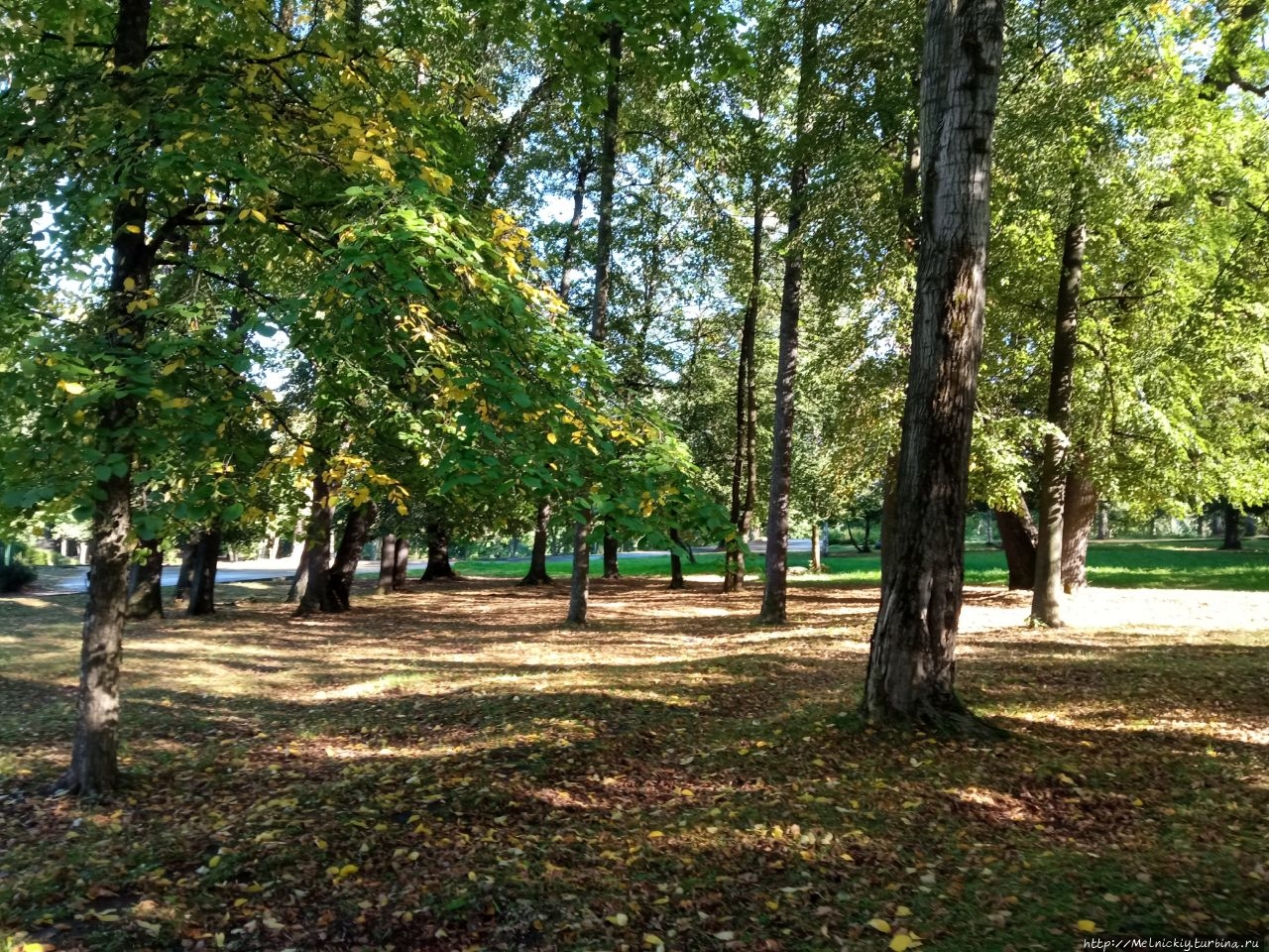 Петровский сад Петрозаводск, Россия