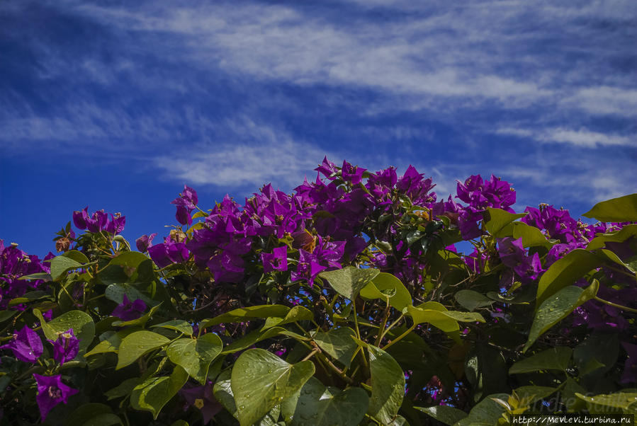 Пляжи Ситжеса Ситжес, Испания