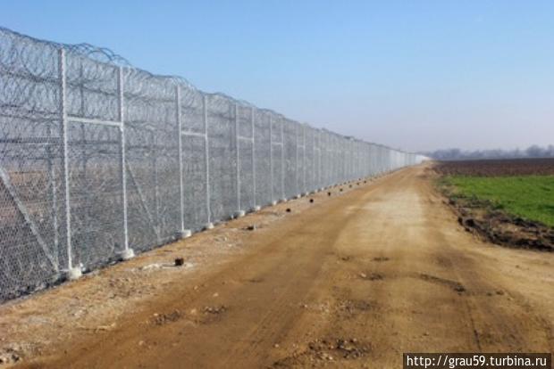 Фото из Интернета