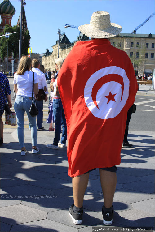3. Флаг Туниса гуляет на широкой спине тунисского футбольного фаната. Москва, Россия