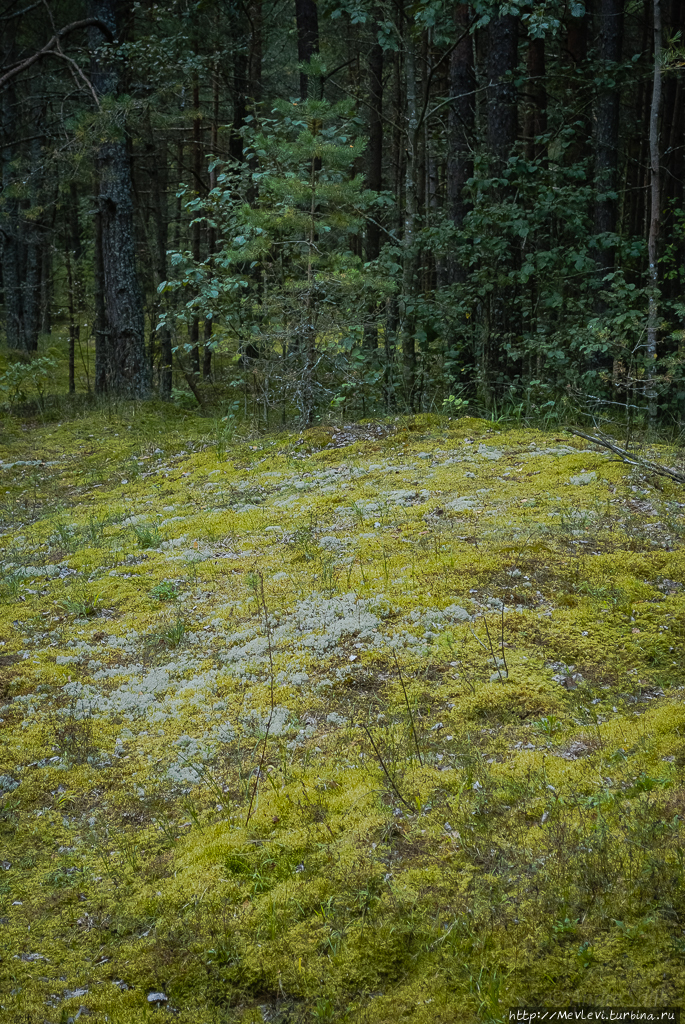 Остров Буллю Рига, Латвия