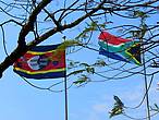 Флаги Свазиленда и Южной Африки