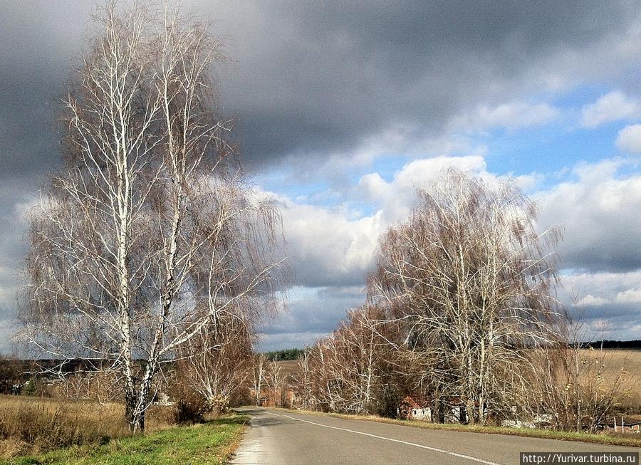 Листопа́д – это вам Ноябрь!