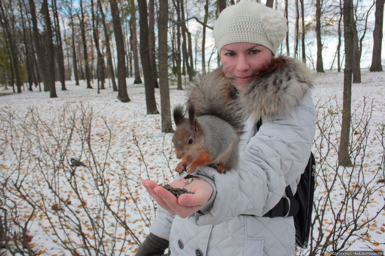 Нижний парк — времена года Петергоф, Россия