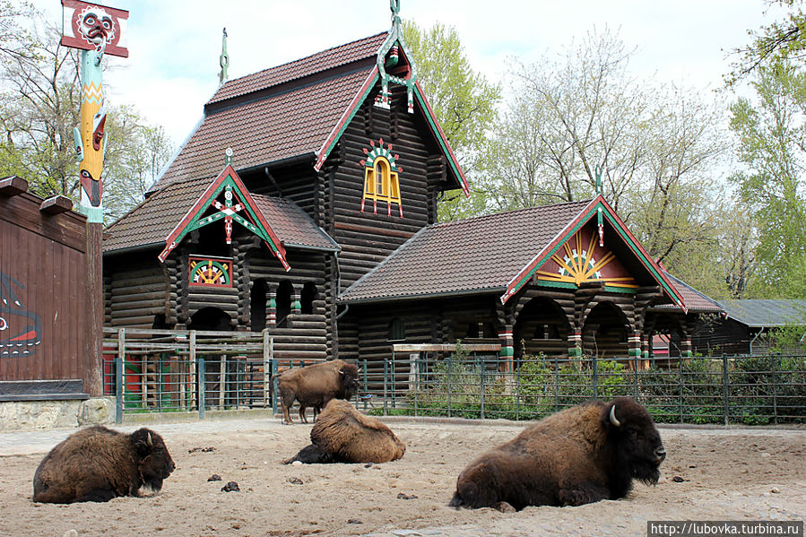 Берлинский Зоопарк Берлин, Германия