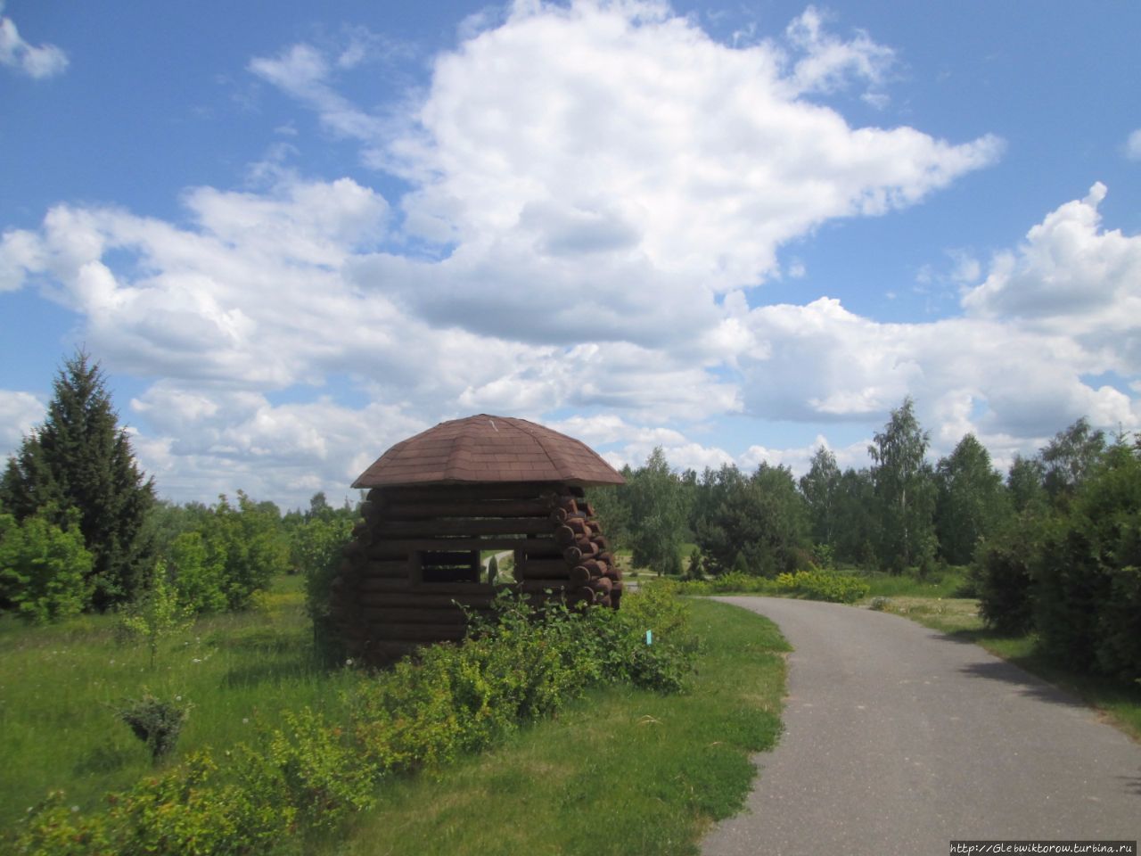 Прогулка в Дендрологический сад Нарочанского парка Мядель, Беларусь