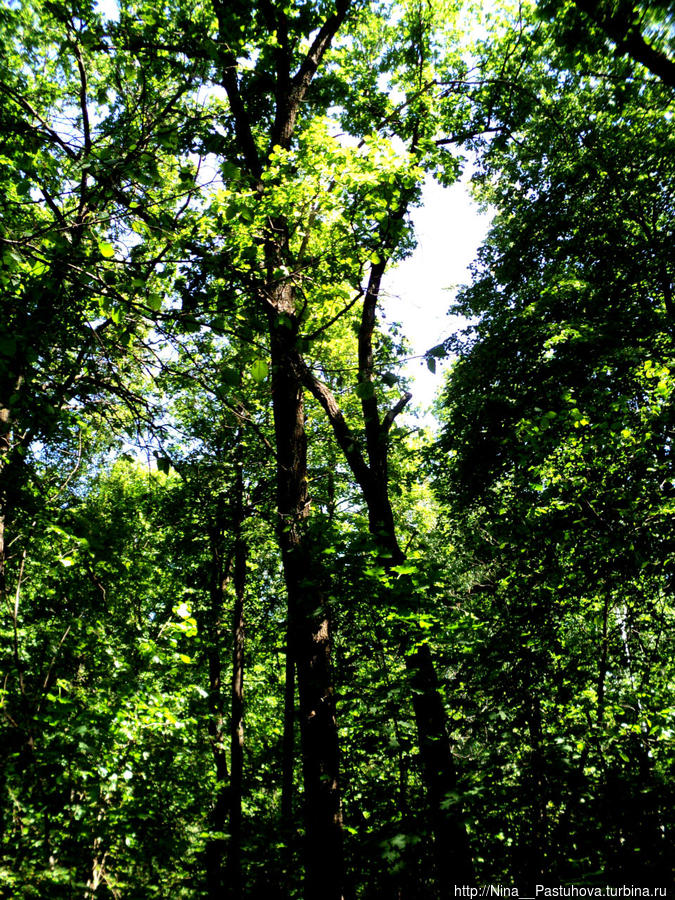 Последний день весны Оренбургская область, Россия